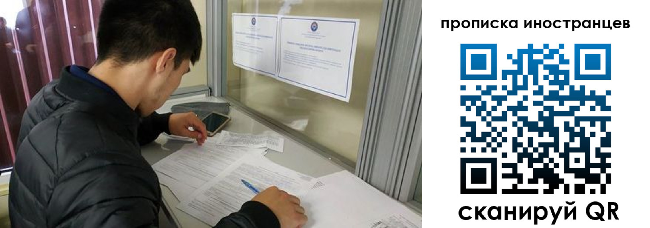 прописка в Ельне